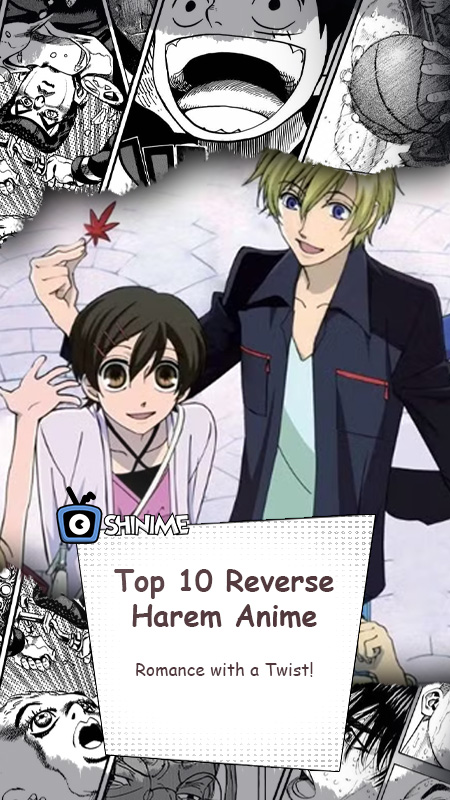 Top 10 reverse harem anime featuring strong female leads and romantic adventures