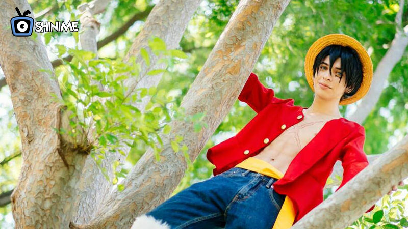 Cosplayer de Luffy con sombrero de paja y camisa roja subido a un árbol, top en cosplay de anime 2025.