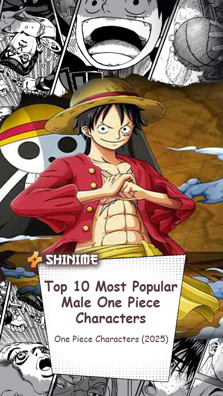 Top 10 Most Popular Male Anime Characters One Piece (2025)