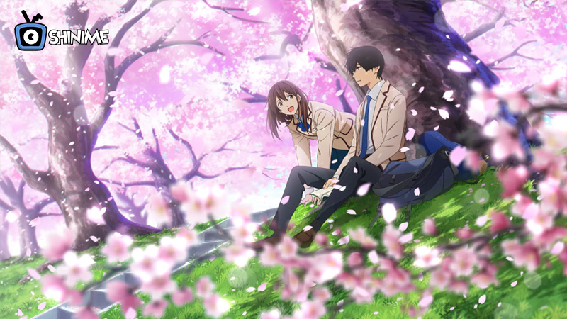 I Want To Eat Your Pancreas