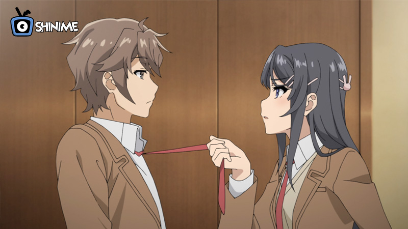 Rascal Does Not Dream Of Bunny Girl Senpai