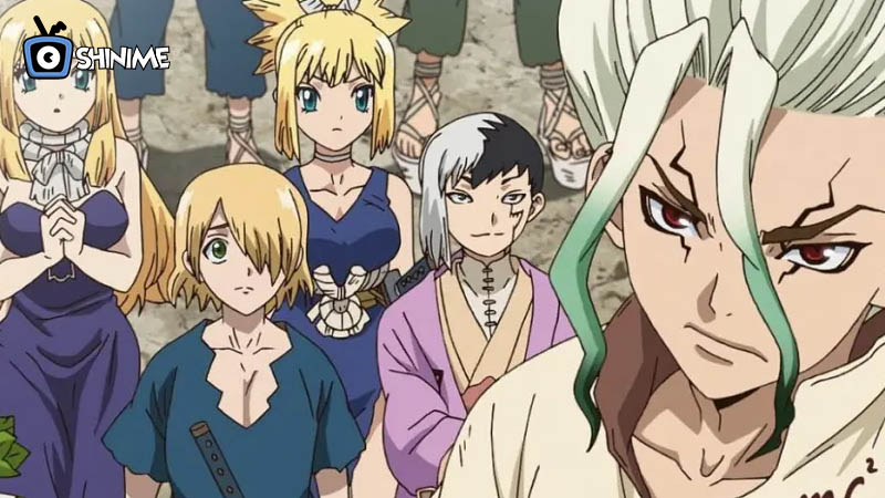 Dr. Stone