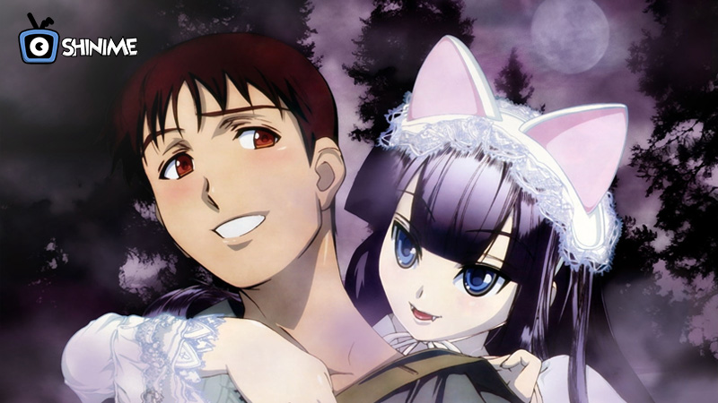 Romantic Comedy with Vampire Mystery and Supernatural Elements