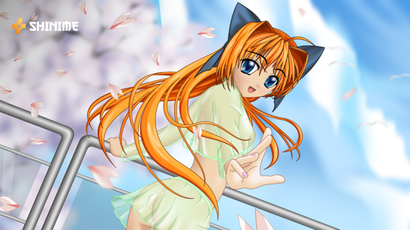 Top ecchi anime that blend flirty humor, romance, and story for fans seeking laughs and spice.