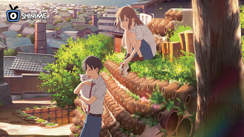 Fantasy romance film about magical transformation and young love