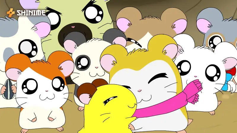 Hamtaro – cute orange hamster adventurer